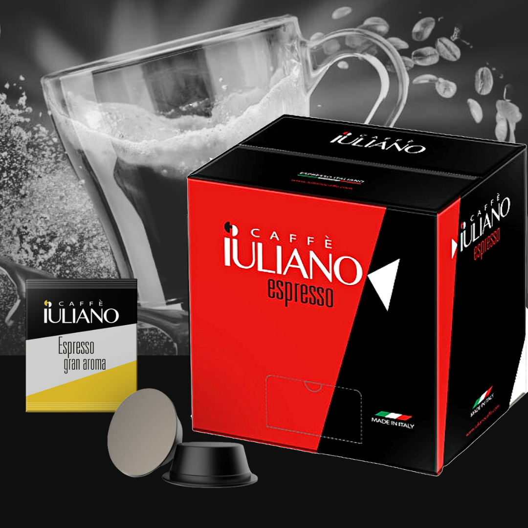 Capsule compatibili LAVAZZA A MODO MIO®* miscela Gran Aroma BOX 100