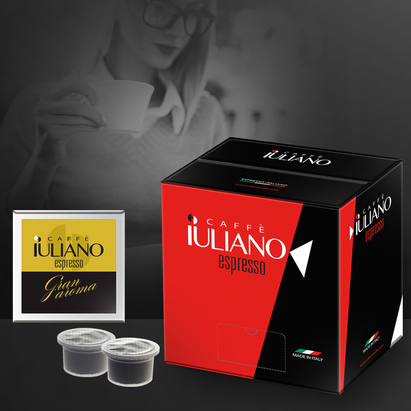 Capsule compatibili LAVAZZA ESPRESSO POINT®* miscela Gran aroma BOX 100